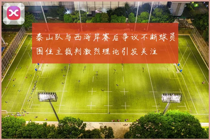 泰山队与西海岸赛后争议不断球员围住主裁判激烈理论引发关注