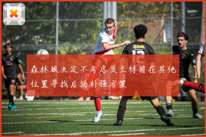 森林狼决定不考虑莫兰特将在其他位置寻找后场补强方案