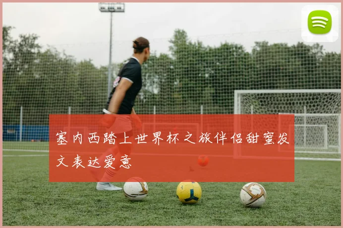 塞内西踏上世界杯之旅伴侣甜蜜发文表达爱意
