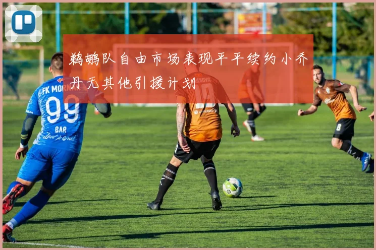 鹈鹕队自由市场表现平平续约小乔丹无其他引援计划
